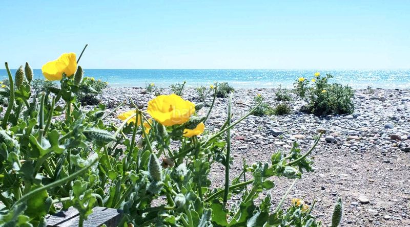 Foto dee65eb7-e907-4476-9afb-a89cfcae63f4. Flat in Moncófar Playa Moncofa