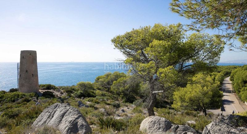 Foto b4ac9349-dd5a-4bb5-a884-e1b4976fc449. Pis a Balneario Oropesa del Mar