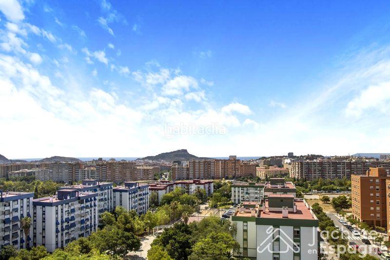 Foto 67bf6df5-3ee7-4b9e-91a6-dba106c169b9. Pis a Virgen del Remedio - Parque Lo Morant Alicante