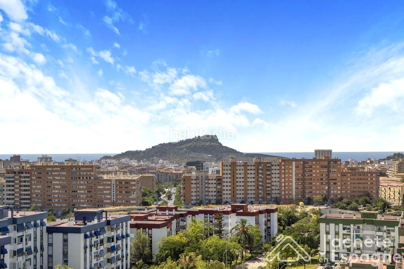 Foto cb37ff00-d616-48b4-9956-fcf2bae7d016. Pis a Virgen del Remedio - Parque Lo Morant Alicante