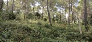 Residential Plot in Corbera de Llobregat