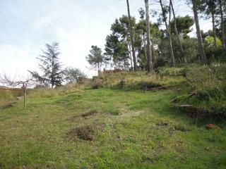 Residential Plot in Castellví de Rosanes