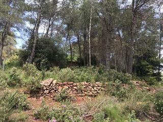 Residential Plot in Corbera de Llobregat
