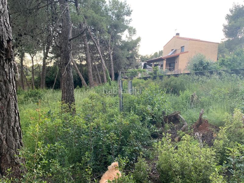 Foto 07bcc077-2fc7-4660-9497-64519c25ce08. Terreno residenziale in Corbera de Llobregat