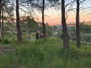 Terreno residenziale  Carrer del moixeró