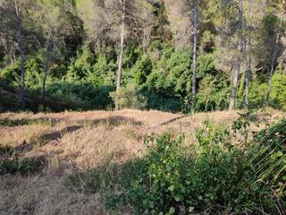 Residential Plot  Avinguda del taió
