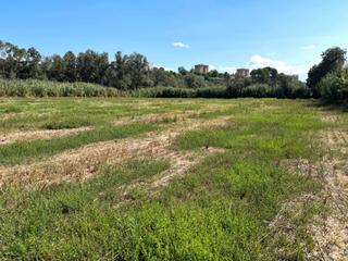 Finca rústica en Martorell