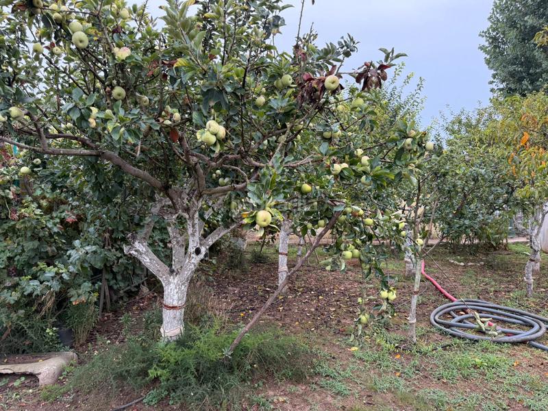 Foto 49800f49-8325-425b-91aa-501e3d6dfa57. Finca rústica en n/a huerto junto rio ripoll en Can Deu Sabadell