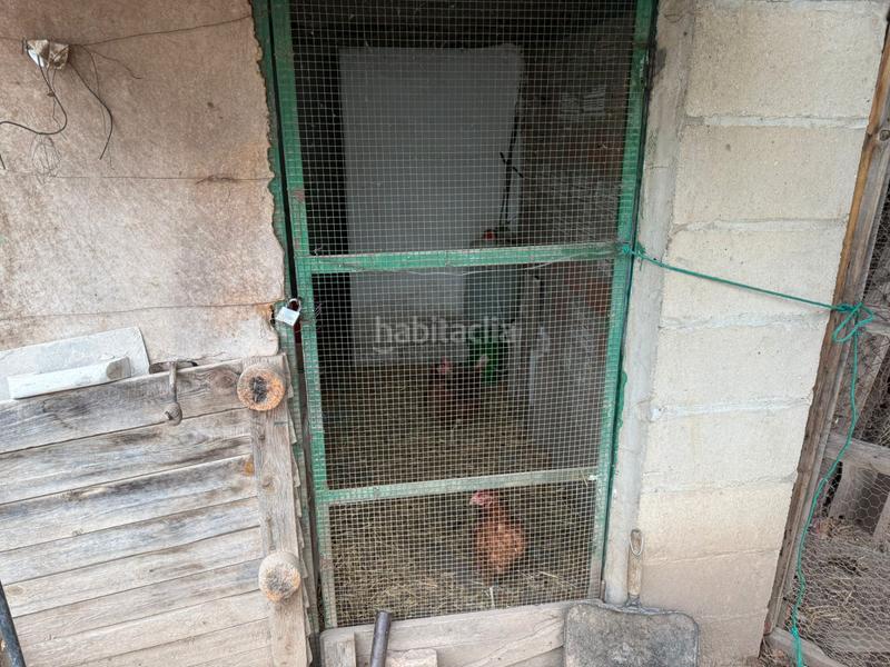 Foto b35c4b25-784e-4141-badd-b44bf2861f6d. Finca rústica en n/a huerto junto rio ripoll en Can Deu Sabadell