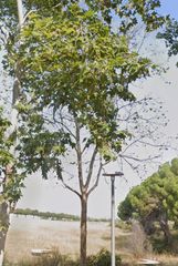 Casa in Can Deu. Espectacular casa en vallehermosa