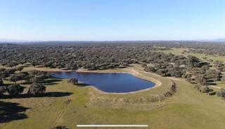 Terreny residencial a Oliva de Plasencia. Finca rúst. en venta en caceres.