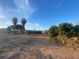 Mas à La Palma. Finca rúst. en venta en la palma  la aparecida, 2 dormitorios.