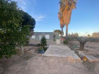 Masia a La Palma. Finca rúst. en venta en la palma  la aparecida, 2 dormitorios.