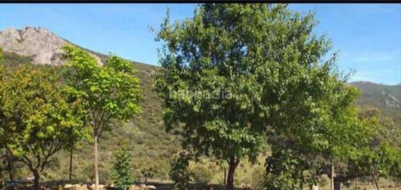 Foto 73b063b8-2af4-44f9-9b05-1f798812ba99. Terreno residencial finca rúst. en venta en logrosan, 3 dormitorios. en Villar del Pedroso