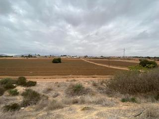 Masia  Molino derribao. Finca rst. en venta en el plan  los dolores, 3 dormitorios.