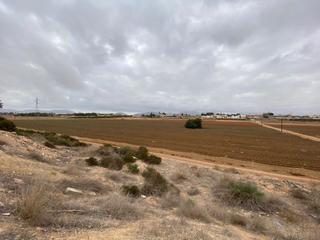Bauernhof  Molino derribao. Finca rst. en venta en el plan  los dolores, 3 dormitorios.