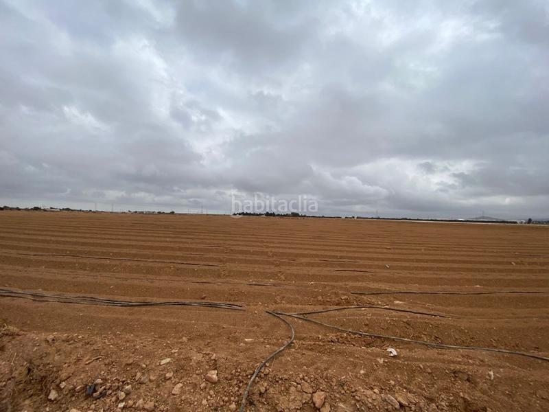 Foto 09c285c3-71ff-4ae9-a624-06a10fe4f24d. Masia a Santa Ana Cartagena