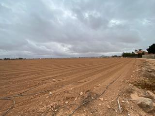 Masía  Molino derribao. Finca rúst. en venta en el plan  los dolores, 3 dormitorios.