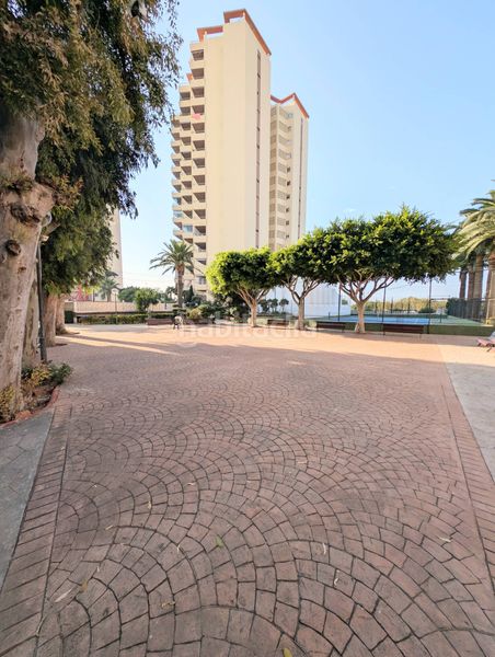 Foto a28552e2-2844-4fcc-9a69-a3ea9effd50d. Apartament amb piscina a Platja de la Pobla de Farnals Pobla de Farnals (la)