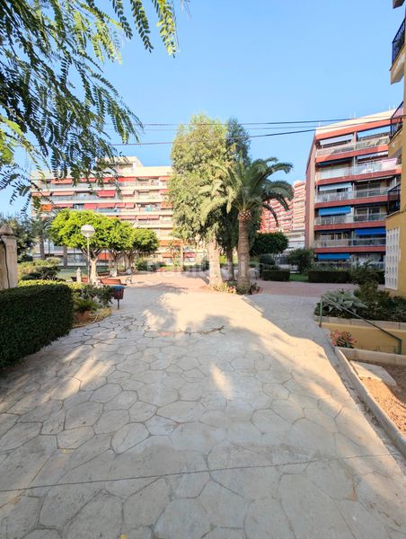 Foto eb182c49-f403-4fc5-a3af-97f90f672d1f. Apartament amb piscina a Platja de la Pobla de Farnals Pobla de Farnals (la)