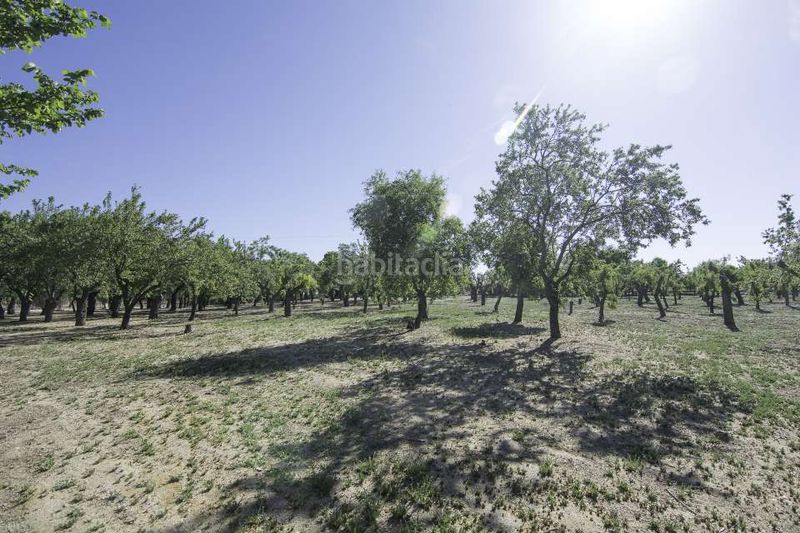 Foto 4d911dcf-8a89-4295-8328-39cdae500e6c. Casa a Menasalbas