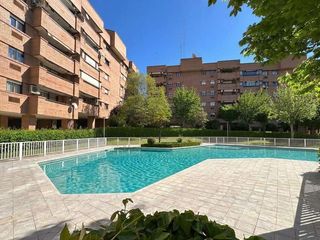 Etagenwohnung in Palomarejos. Espectacular piso de 5 dormitorios con terraza, piscina y vistas