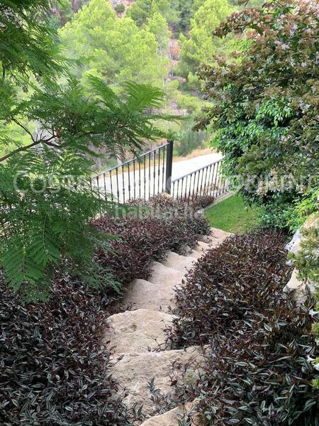 Foto 193f6d92-149d-46af-b3ab-0fd11204696c. Chalet  en venta , 3 dormitorios. en Altea la vella Altea