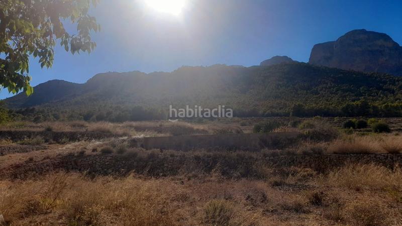 Foto 8e6dc94e-dab2-45f6-a922-ed2489bf87d4. Finca rústica terreno urbano en venta en monte ponoig. en Polop