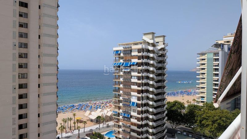 Foto aff3c9aa-5424-46f8-8bf7-86f35a25c1f7. Estudi amb aparcament a Playa Levante Benidorm
