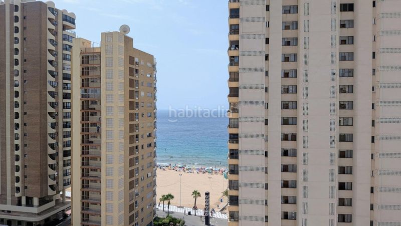 Foto be0338dd-7225-431a-8d35-f39d0e6147dd. Estudi amb aparcament a Playa Levante Benidorm