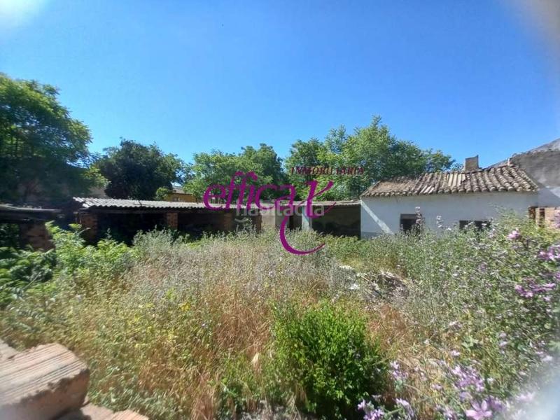 Foto ae6c4721-811a-4ed8-9a74-e57813003179. Haus in Puebla de Montalbán (La)