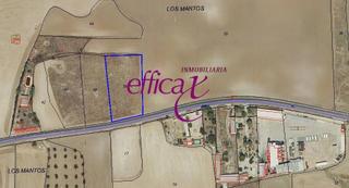 Finca rústica a Carmena. Se vende terreno rustico en torrijos