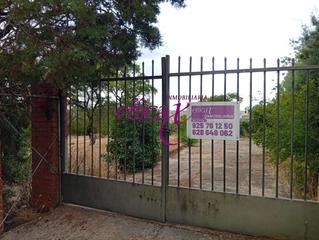 Terreny residencial a Albarreal de Tajo. Venta de casa con gran parcela