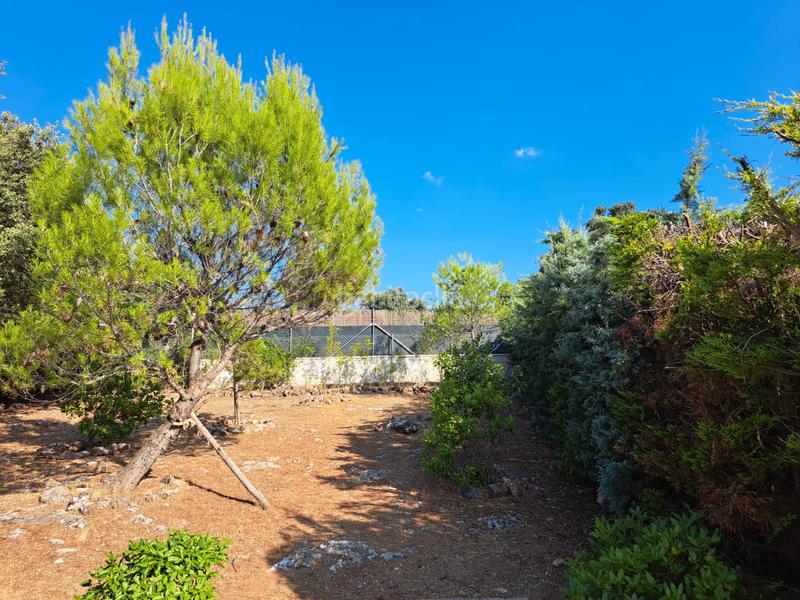 Foto cd85ea82-c647-4707-b6e6-846dba76b271. Chalet in calle nueva sierra bm 36 in Albalate de Zorita