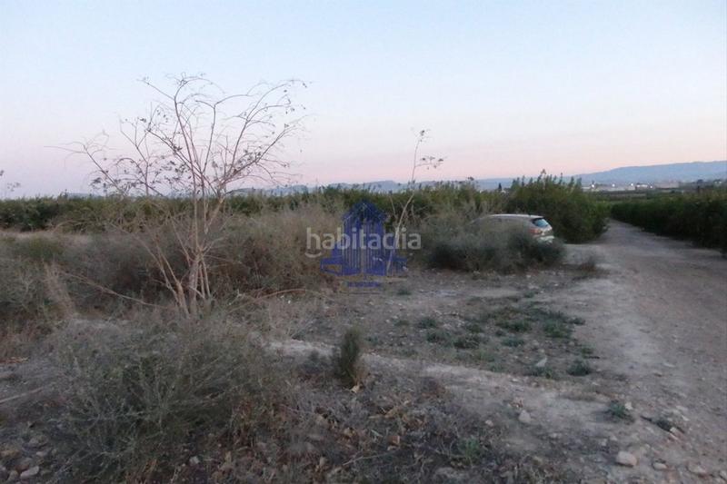 Foto 203be472-0fe6-4230-b63e-624abf545794. Terreno residenziale in Santomera