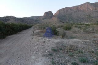 Terreny residencial  Calle maestro puig valera. Parcela rústica