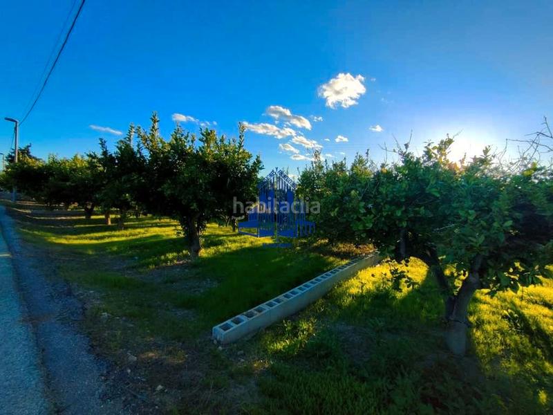 Foto 040d70e1-de17-42e3-817d-c03c944e9a35. Casa  con parcela El Raal en El Raal Murcia