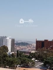 Pis a Sant Genís dels Agudells