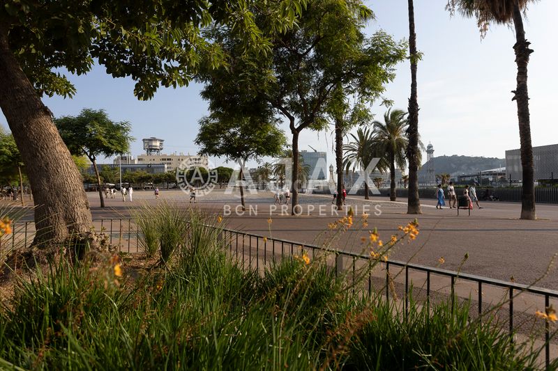 Foto 489c3744-c48f-4c1d-aa75-050204088714. Pis amb calefacció a Barceloneta Barcelona