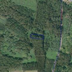 Fondo rustico in Paderne