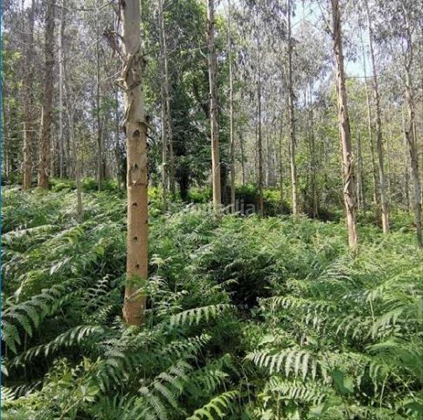 Foto 520db9b5-0d55-4bfa-85de-755d87fb4f97. Finca rústica en Paderne