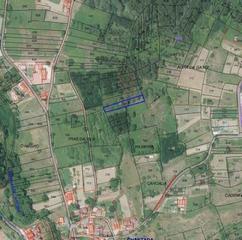 Fondo rustico in Paderne