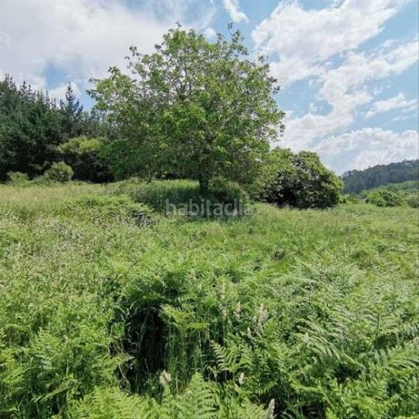 Foto cca5652d-c683-4c42-895c-b71f20d47318. Finca rústica en Paderne