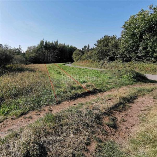 Foto 118d8ba8-121a-4b99-a7ce-466c0a837167. Finca rústica a Guitiriz