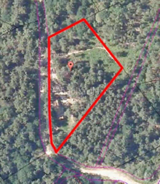 Foto 94c8d390-5772-45d0-a49e-ee487fa66cf8. Finca rústica a Peroxa (A)