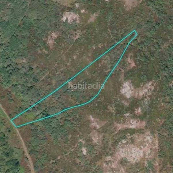 Foto 7a017e30-1d83-4ccc-9564-68272b9d2227. Finca rústica en Bande