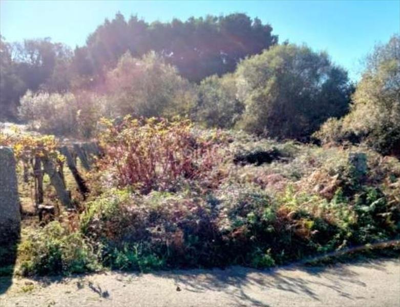 Foto c0b157f9-e992-4684-855d-96d80f32e900. Propriété dans Barro