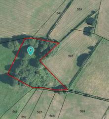 Propriété à Rodeiro