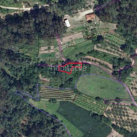 Foto abd24695-c81d-4f62-ac33-c544904ce855. Finca rústica a Rosal (O)