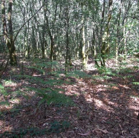 Foto 5d9cf4e7-fb1d-440b-b126-65eccd799142. Finca rústica a Parroquias Rurales Pontevedra
